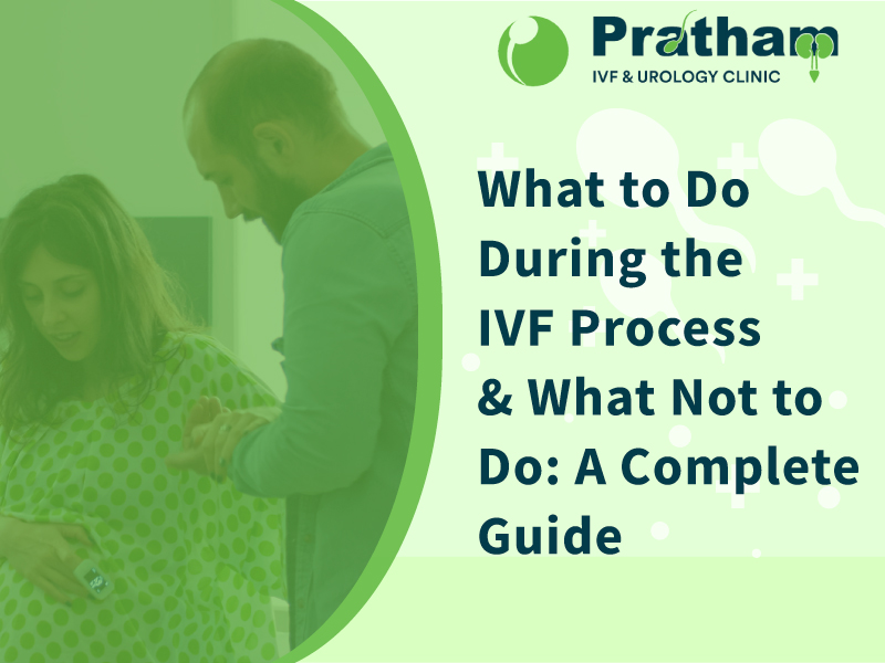 IVF Process