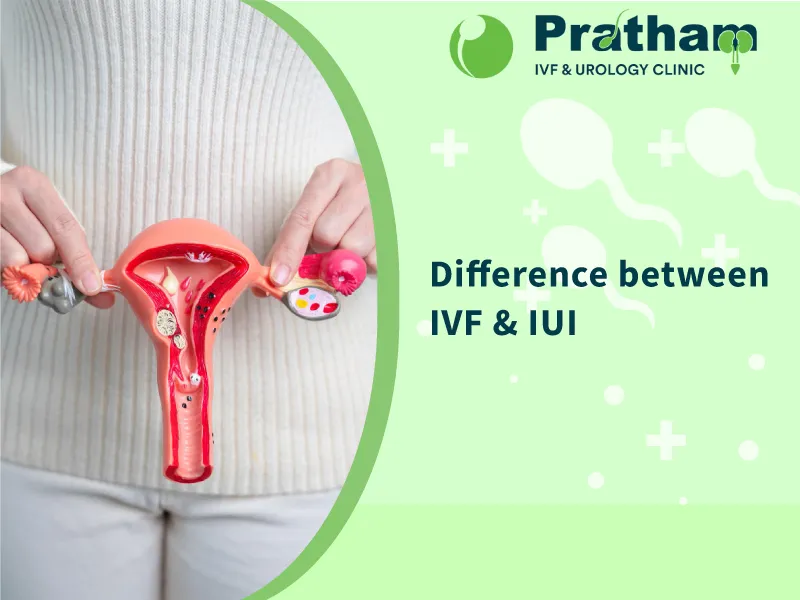 Understanding The Difference Between Ivf And Iui Pratham Ivf Insights 